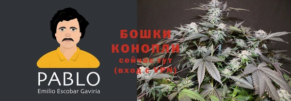 прущие грибы Киреевск