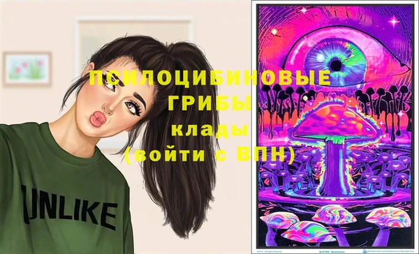 прущие грибы Киреевск