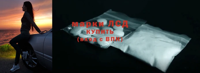 прущие грибы Киреевск