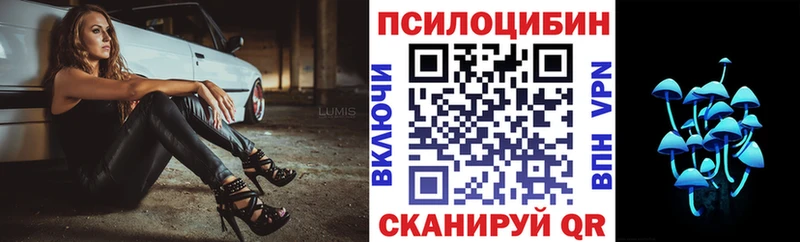Псилоцибиновые грибы GOLDEN TEACHER  Великий Новгород 